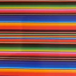 Siser Easy Patterns - Randigast