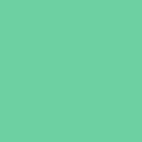 Blank 92B Mint - MV