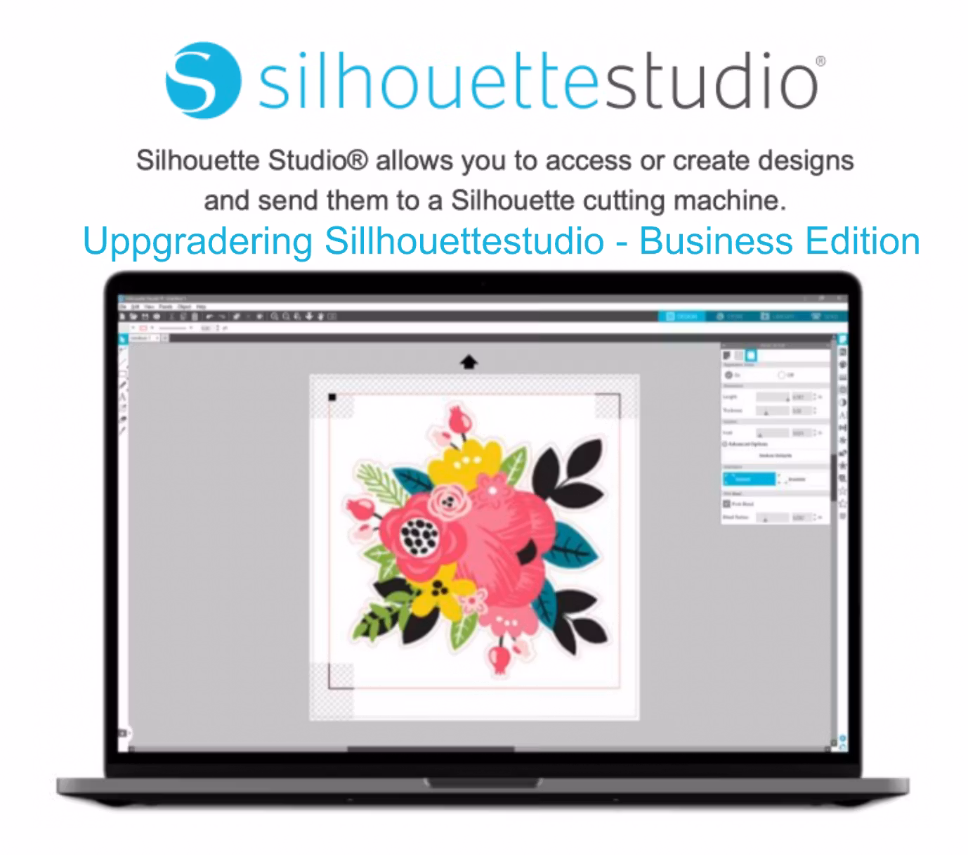 Uppgradering Sillhouettestudio - Business Edition - kolla vår vara!