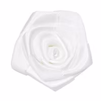 Satinblomma - Vit ros