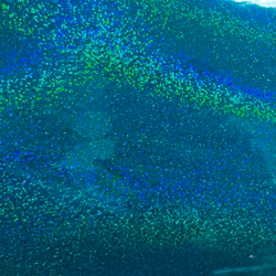 Intense sparkle - Turkos