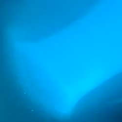 Mirror Turkos - 2113