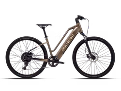 Polygon Kalosi Miles Low Step