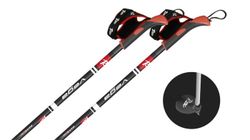 Rex Vega Carbon