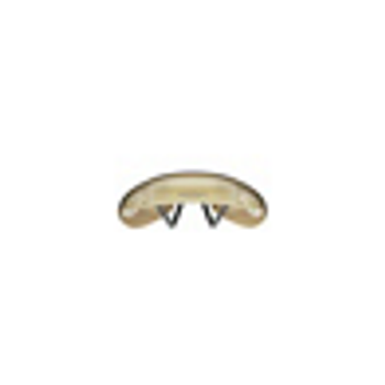 BROOKS Saddle Cambium C17 Special