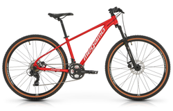 Megamo DX3 2024