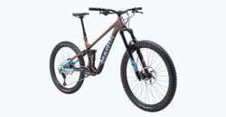 Marin Alpine Trail 1