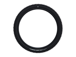 SCHWALBE ALBERT TRAIL PRO Evolution tire 29" 2,50" (63-622)