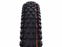 SCHWALBE ALBERT GRAVITY PRO Evolution tire 27,5" 2,50" (63-584)