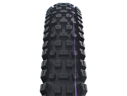 SCHWALBE ALBERT GRAVITY PRO Evolution tire 29" 2,50" (63-622)