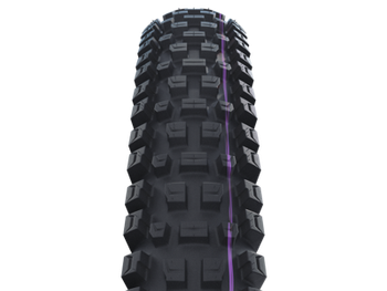 SCHWALBE ALBERT GRAVITY PRO Evolution tire 29" 2,50" (63-622)