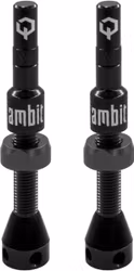 AMBIT Tubeless Valves Realm