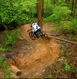 Marin Alpine Trail 2