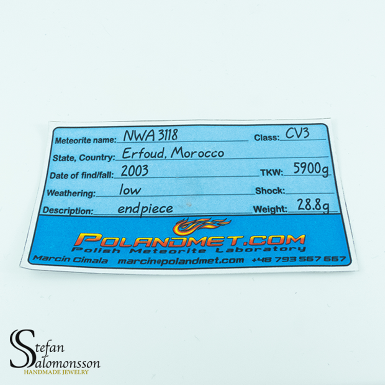 NWA 3118 28,8g