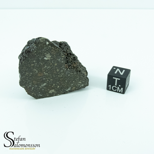NWA 3118 28,8g