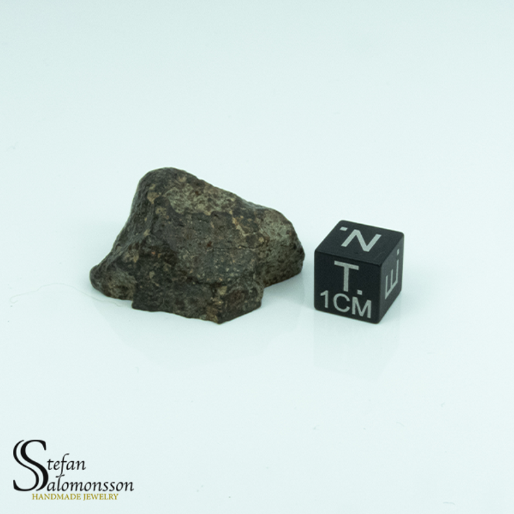 NWA 869 L3 CHONDRITE 17.8g