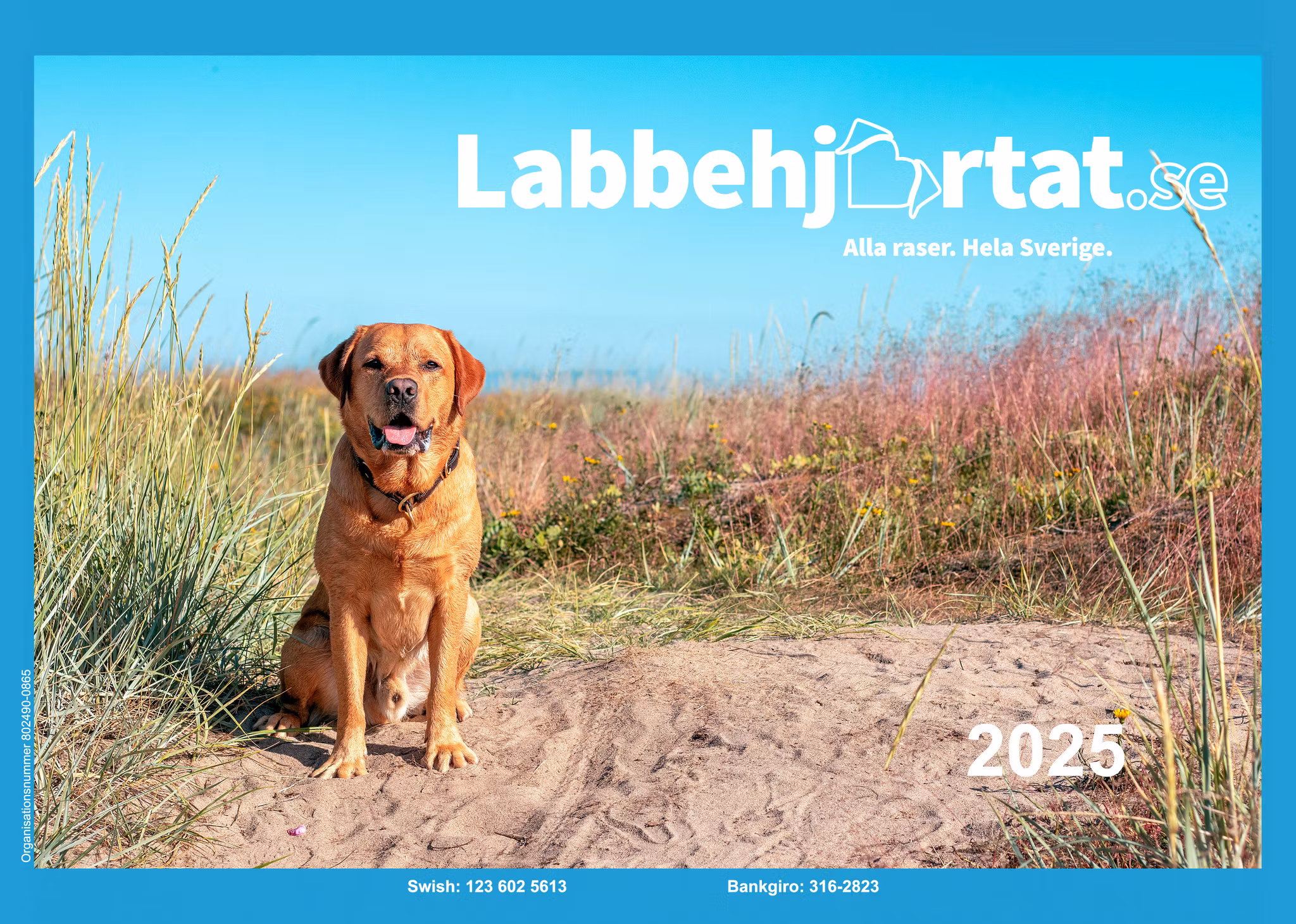 Kalender 2025