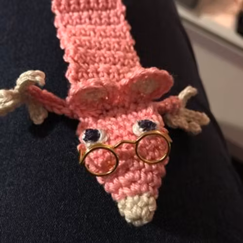 Bokråtta med glasögon