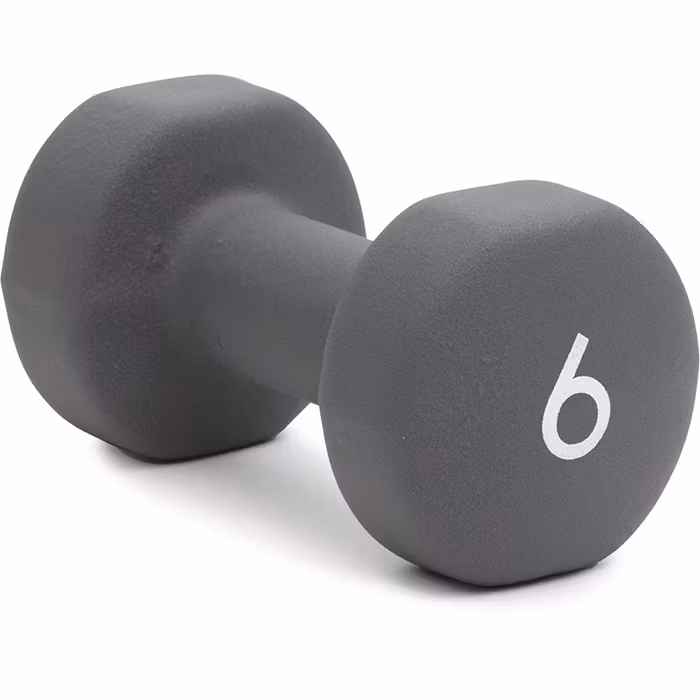 Abilica Dumbbell 6 kg