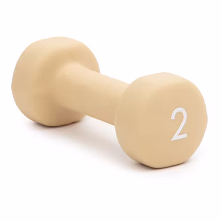 Abilica Dumbbell 2 kg