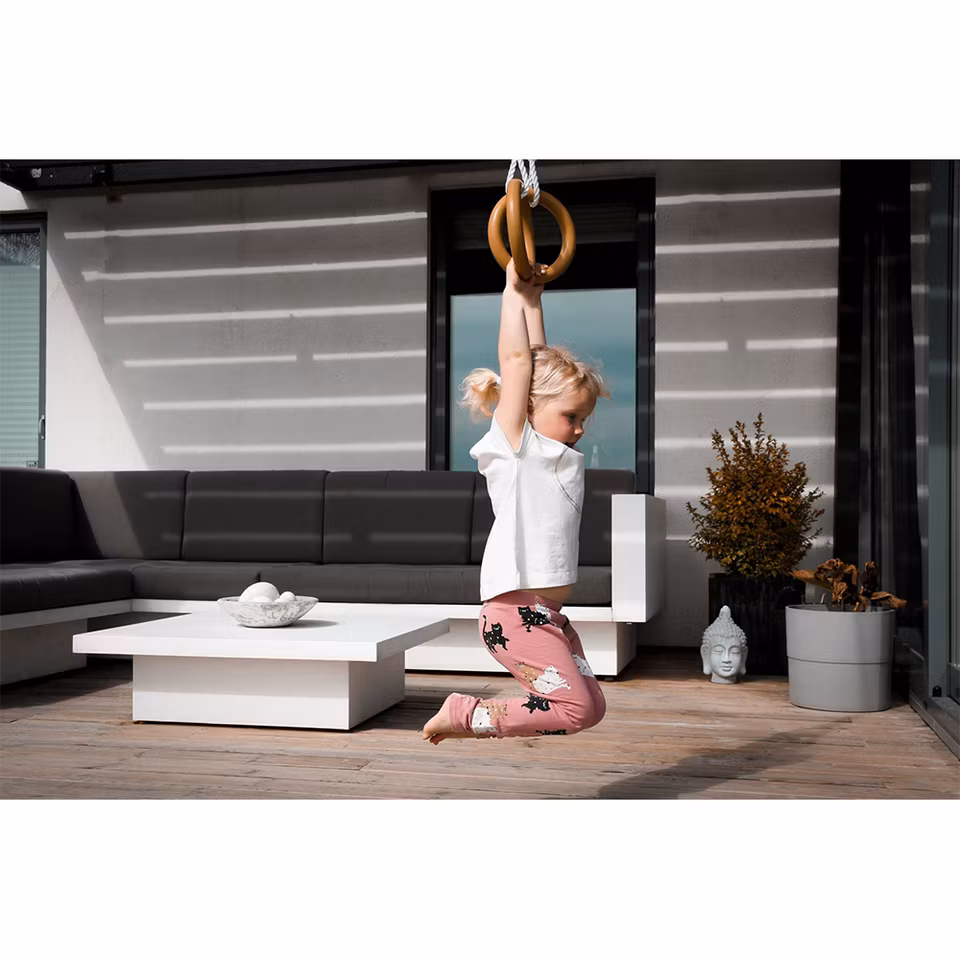 Abilica Gym Rings