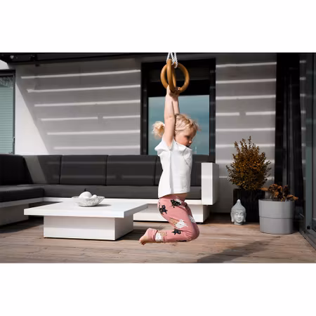Abilica Gym Rings