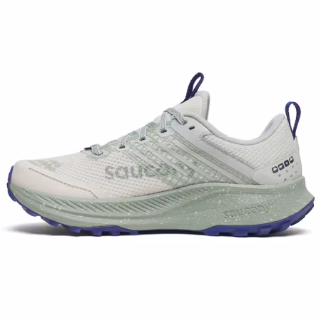 Saucony Ride TR 2 GTX W Löparskor