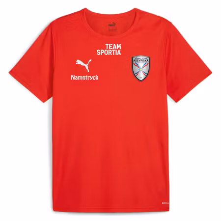 Assyriska BK Puma Tränings T-Shirt JR