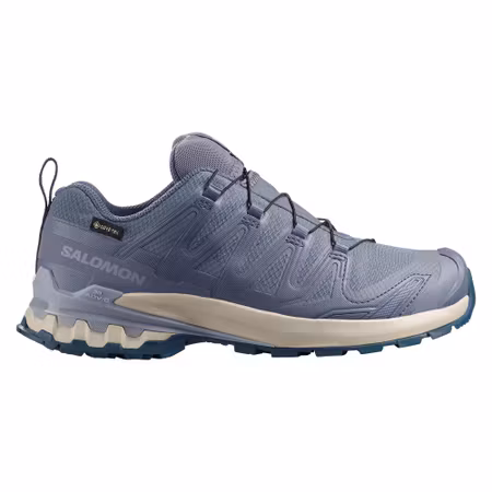 Salomon XA PRO 3D V9 GTX W