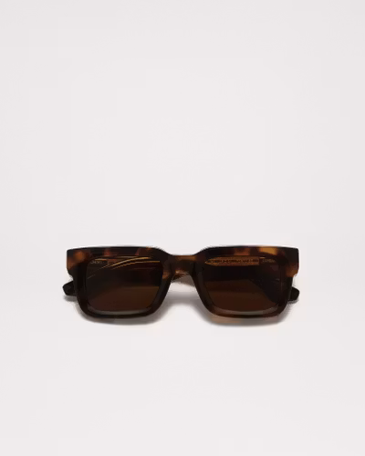 Chimi - 05.2 Tortoise