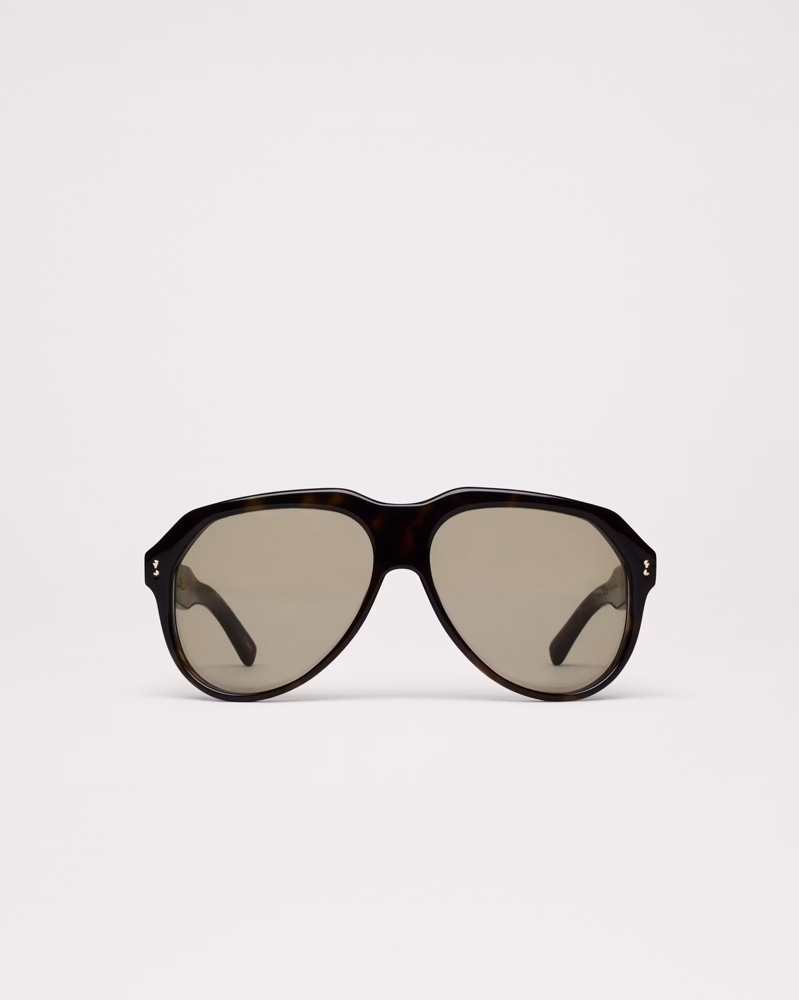 Chimi - Caine Tortoise