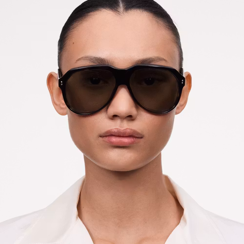 Chimi - Caine Tortoise