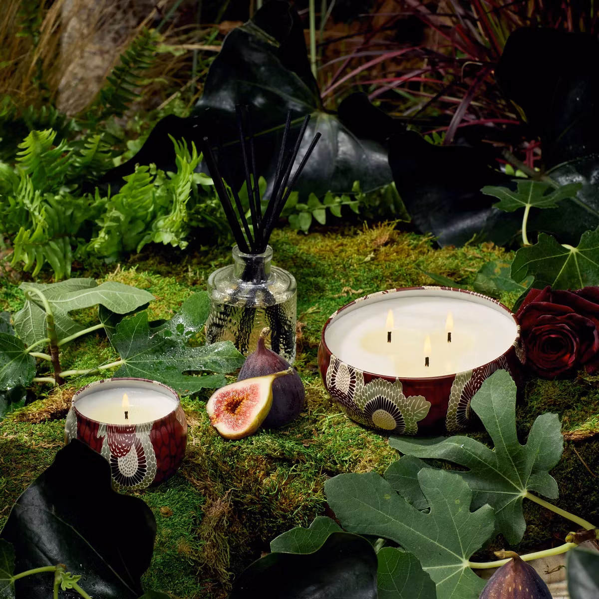 Voluspa - FORBIDDEN - FIG 3 WICK TIN CANDLE