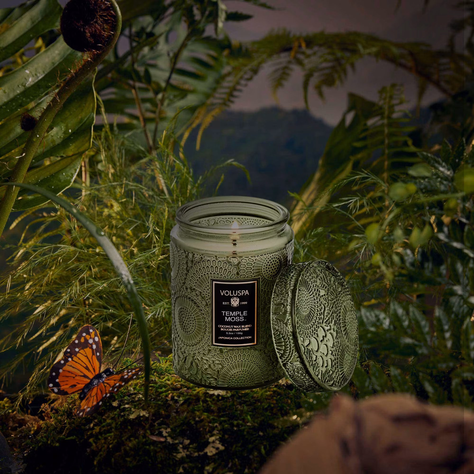 Voluspa - Temple Moss Small Jar Candle