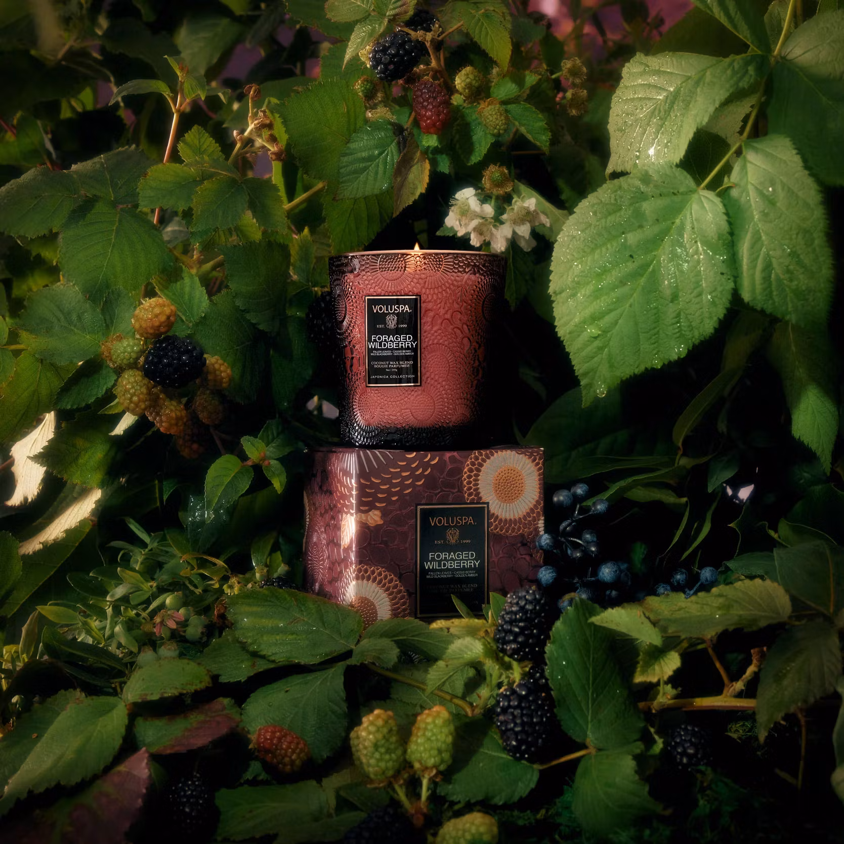 Voluspa - FORAGED WILDBERRY - CLASSIC CANDLE