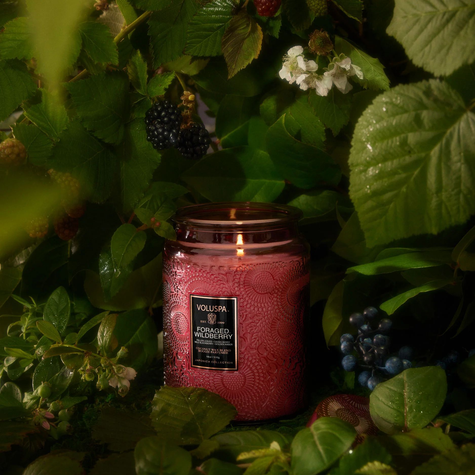 Voluspa - FORAGED WILDBERRY - LARGE JAR CANDLE