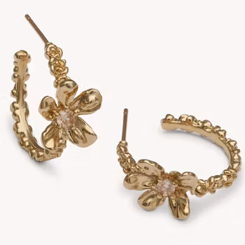 Lily and Rose - EPONINE HOOP EARRINGS – GOLD