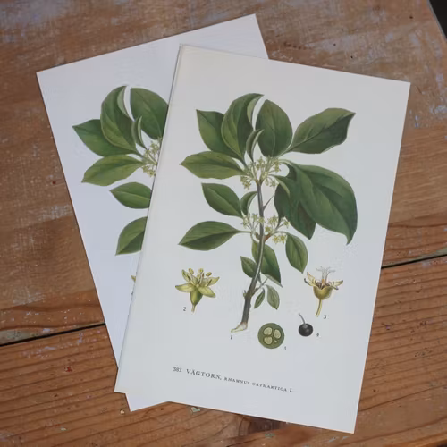 Florabild - Vägtorn