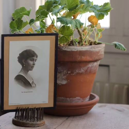 Fotografi - Kronprinsessan Margareta