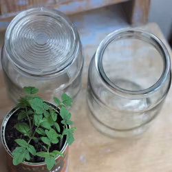 Glasburk - Förvaring 1/4l