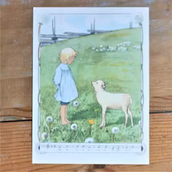 Barnkammarbild - 55 Bä bä vita Lamm