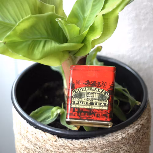 Plåtburk - Röd med Text