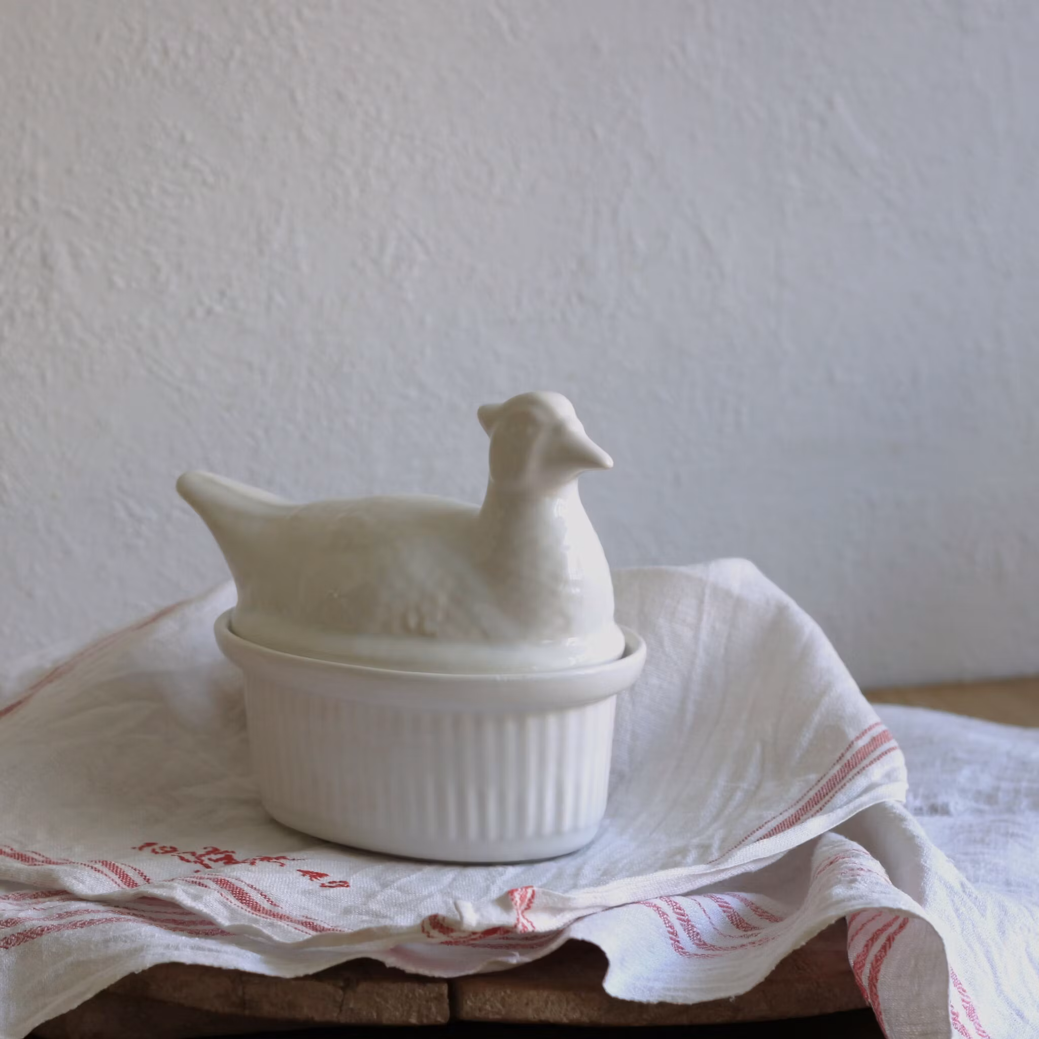 Ägg-gömma - Vit höna