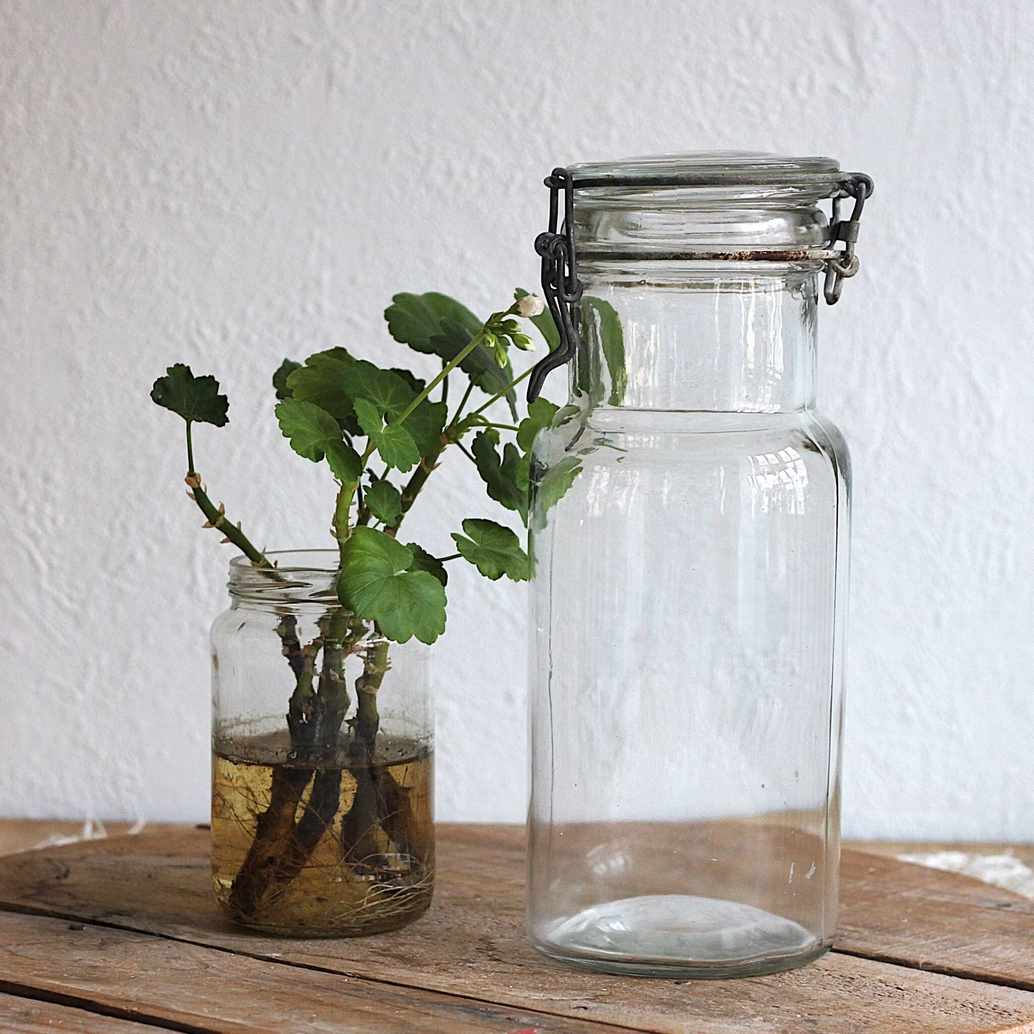 Glasburk - Förvaring 1.5liter