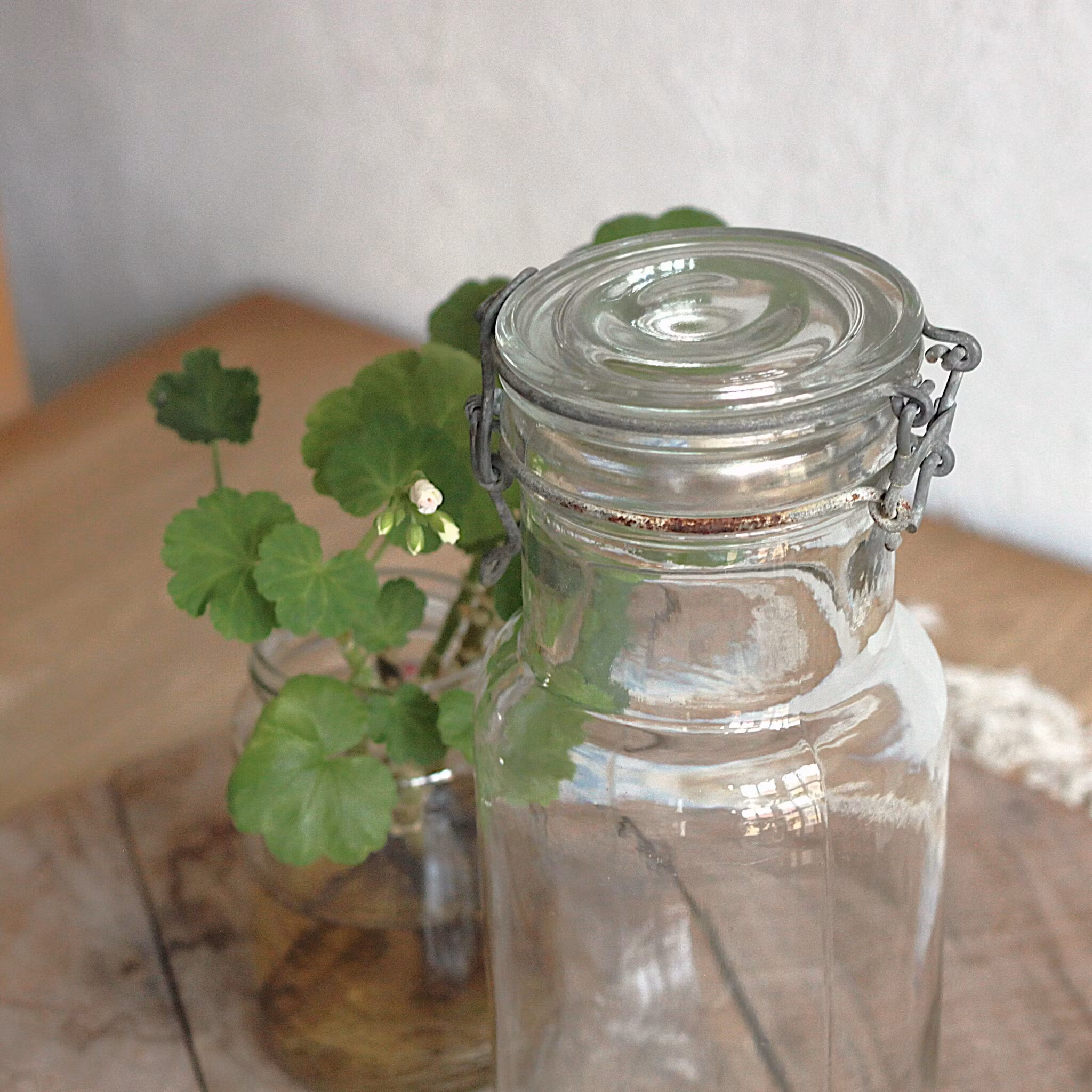 Glasburk - Förvaring 1.5liter
