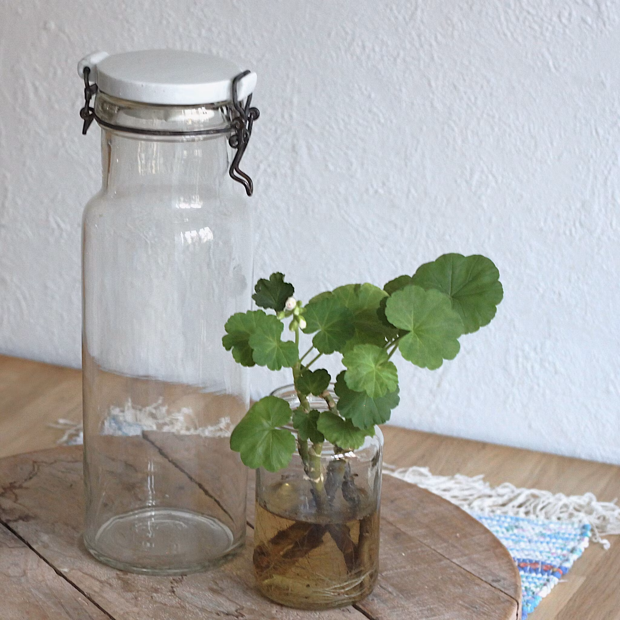 Glasburk - Förvaring med porslinslock 2liter