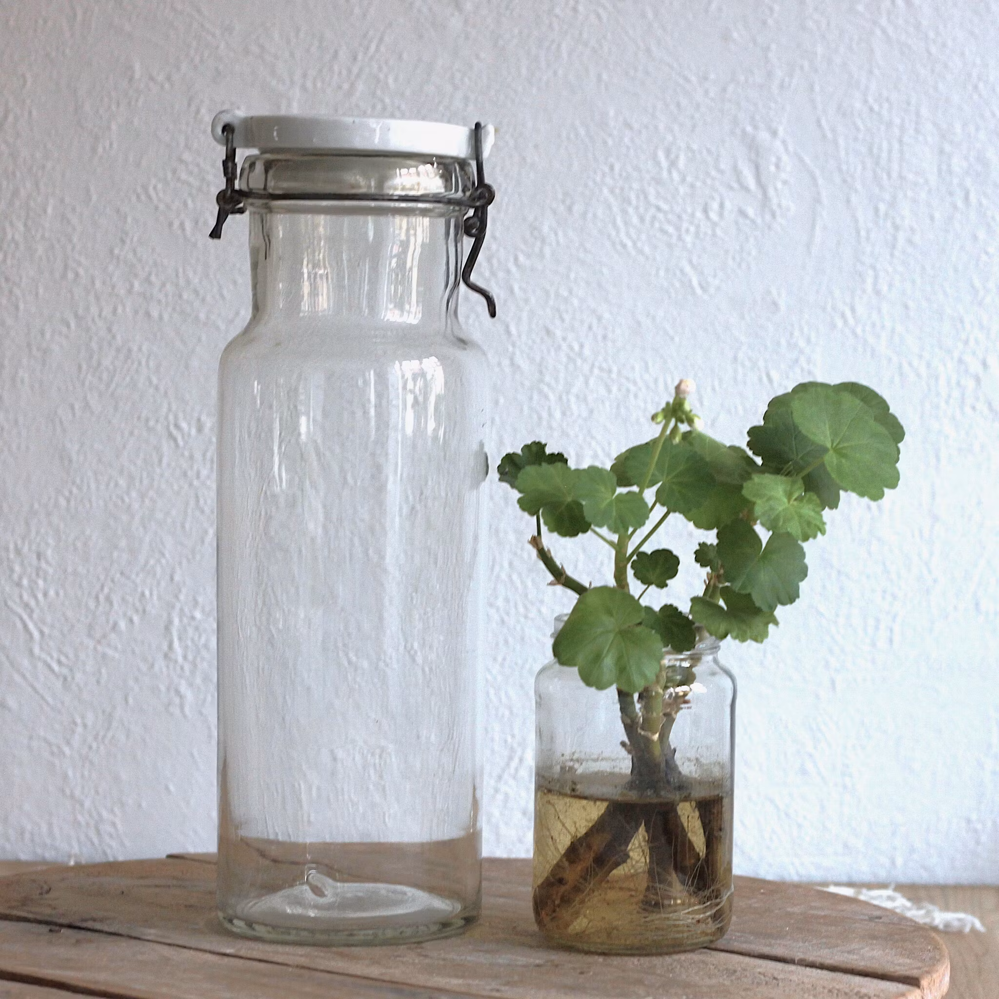 Glasburk - Förvaring med porslinslock 2liter