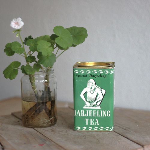 Plåtburk - teburk grön
