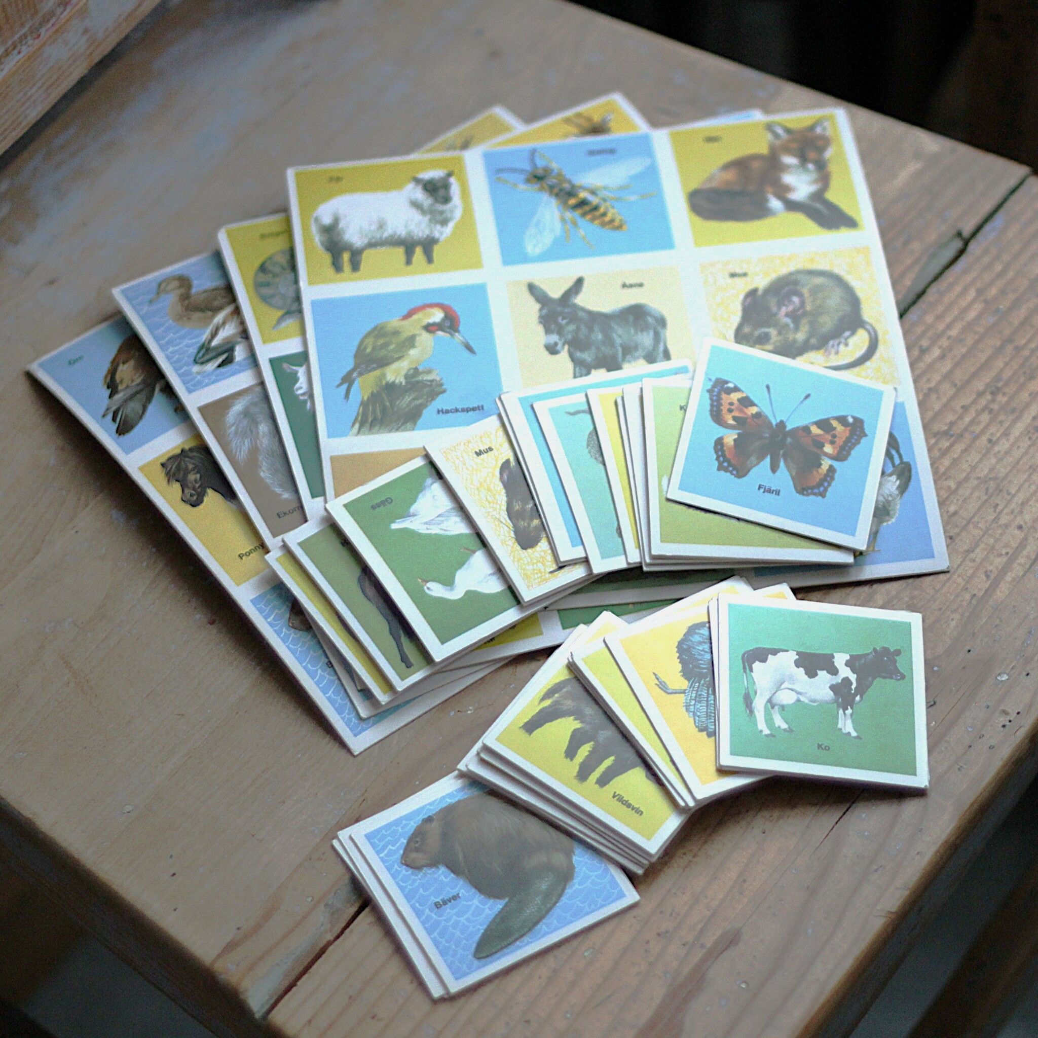 Spel - Djur lotto