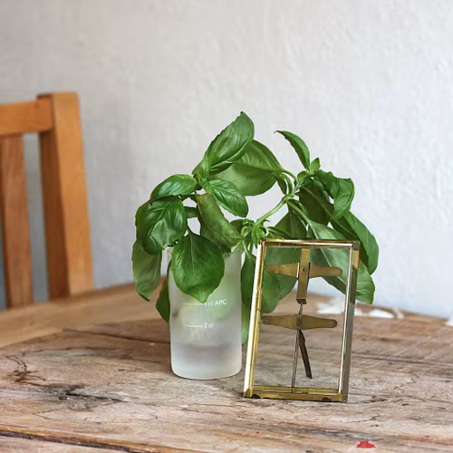 Ram - glas och metall